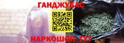 крисы Пенза