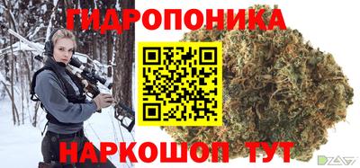 крисы Пенза