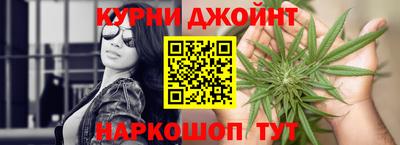 крисы Пенза