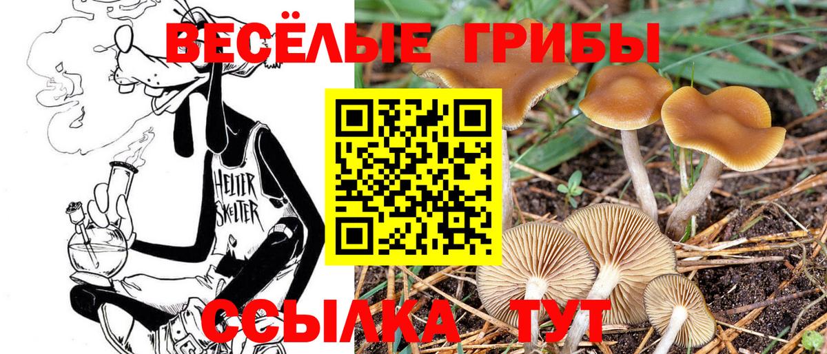 Псилоцибиновые грибы Magic Shrooms Семилуки
