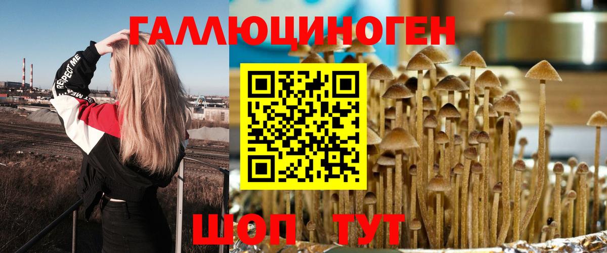 Псилоцибиновые грибы GOLDEN TEACHER  Псилоцибиновые грибы прущие грибы  Вход с VPN  Семилуки 